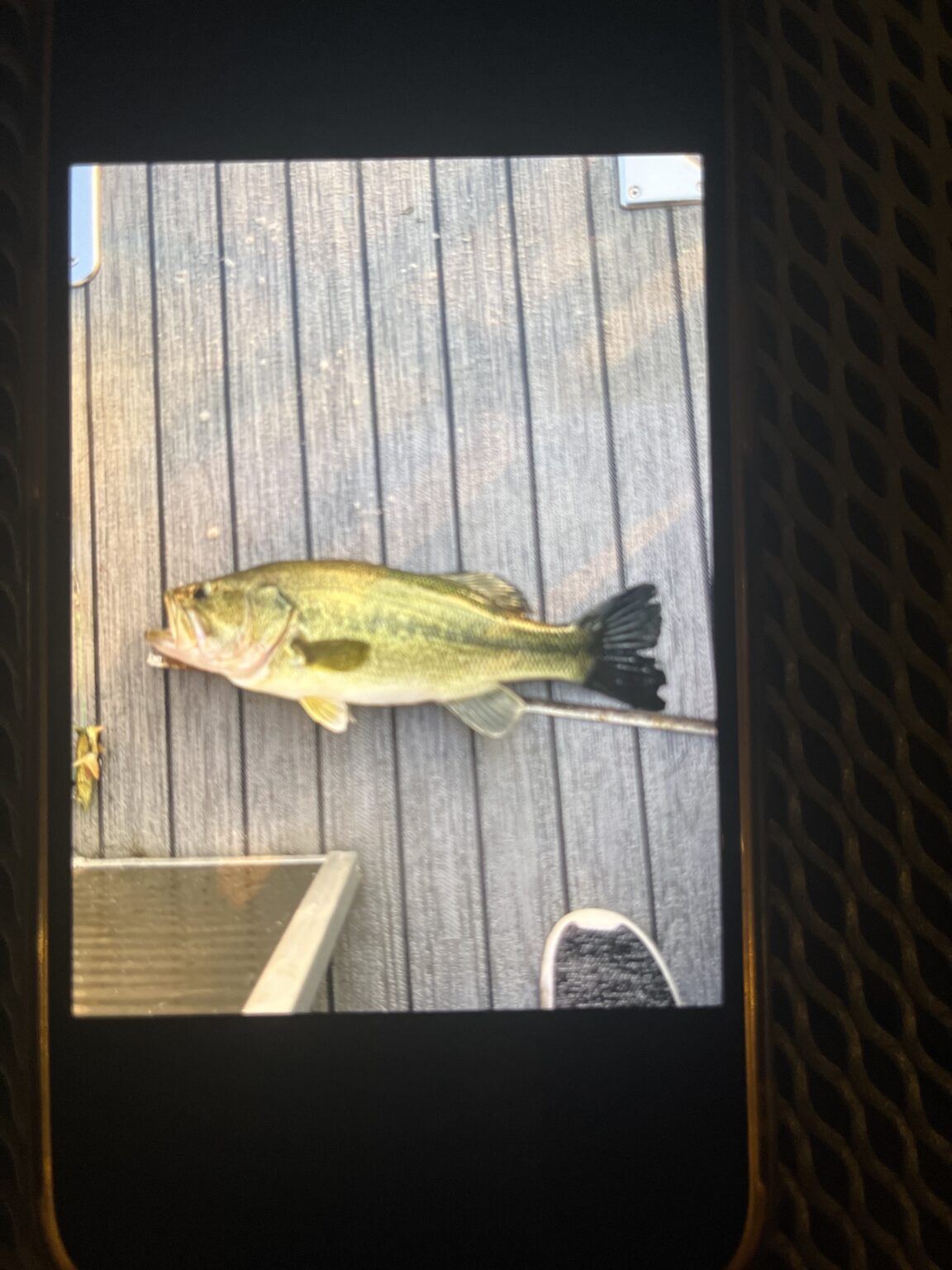 Kale Lynch - Fishing Hall of Fame of Minnesota